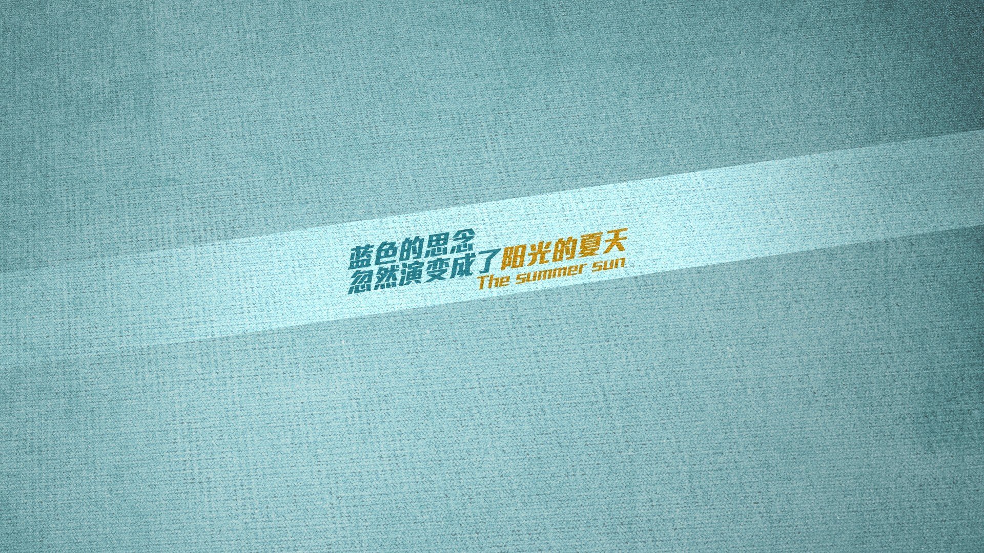 墨西哥马术协会开展马匹福利宣传活动,提升公众意识。,墨西哥马拉松