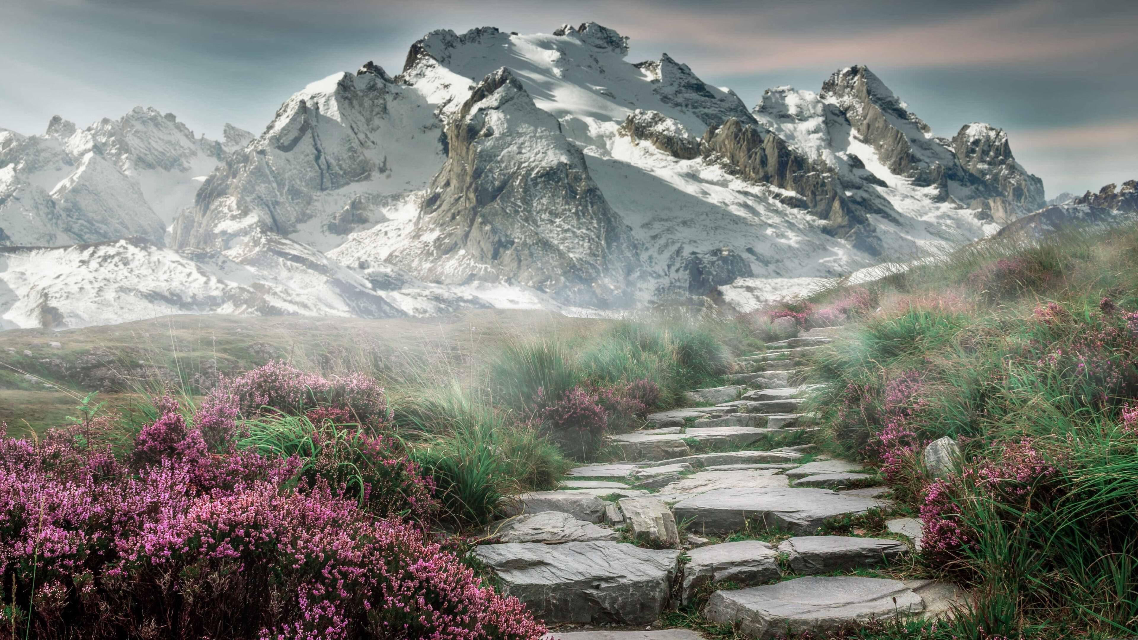 葡萄牙马术协会举办马术运动员国际交流活动，促进文化互鉴。，葡萄牙马竞球员