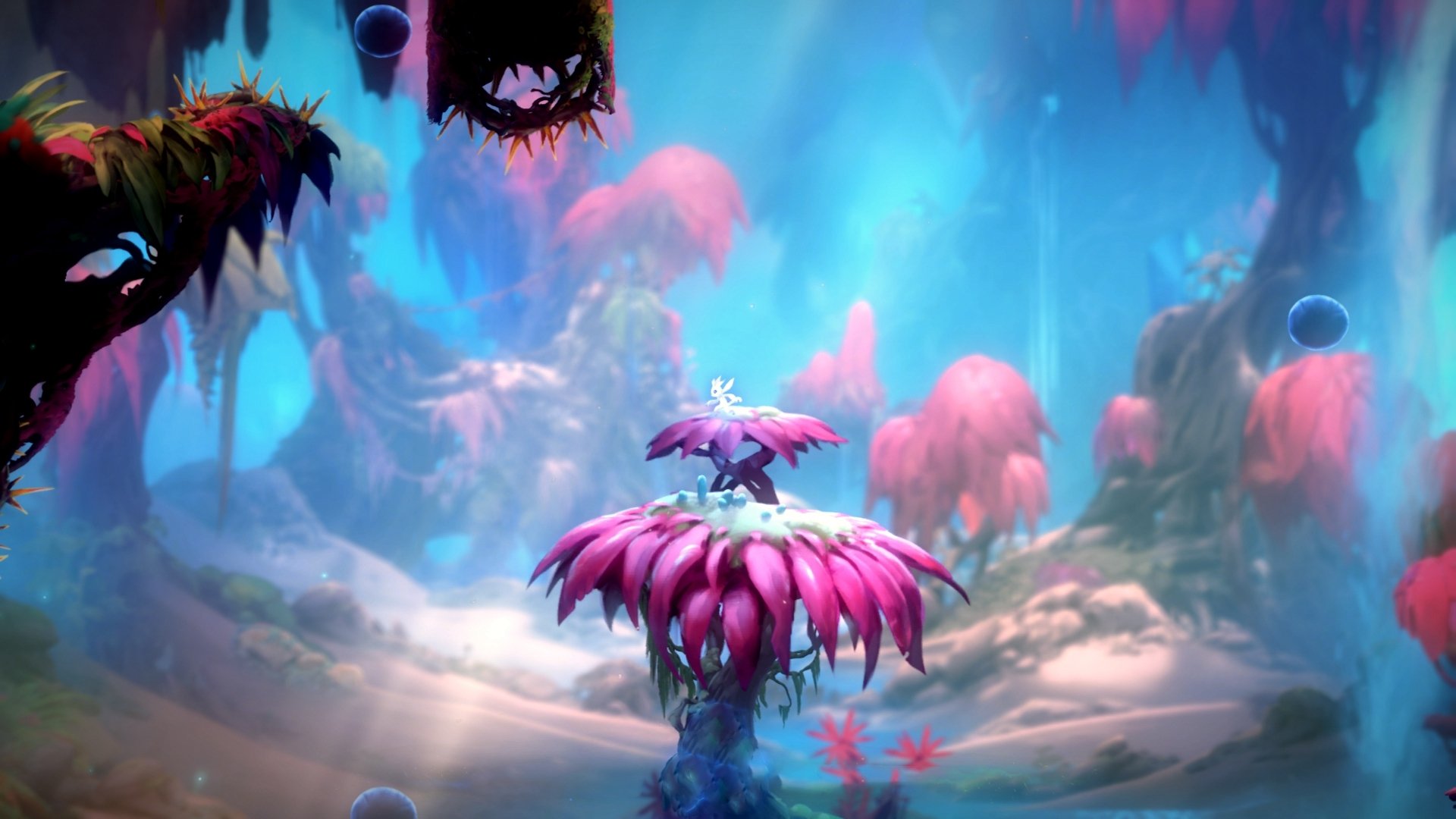 葡萄牙马术协会推出马术运动员健康管理系统,关注运动员身心健康。