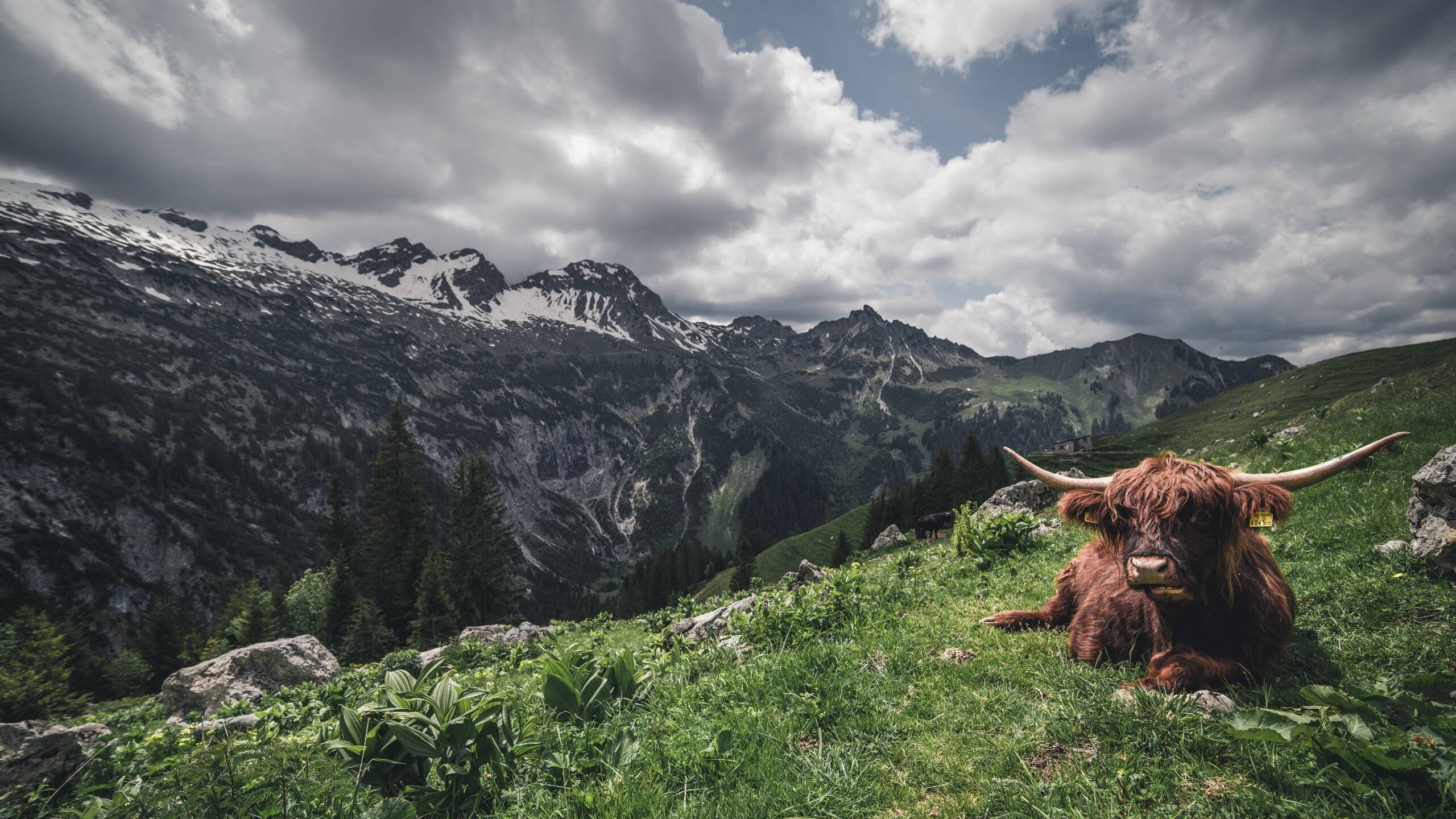 部落冲突“王者荣耀争霸战”全球同步开启，策略决胜未来，部落冲突 王者荣耀