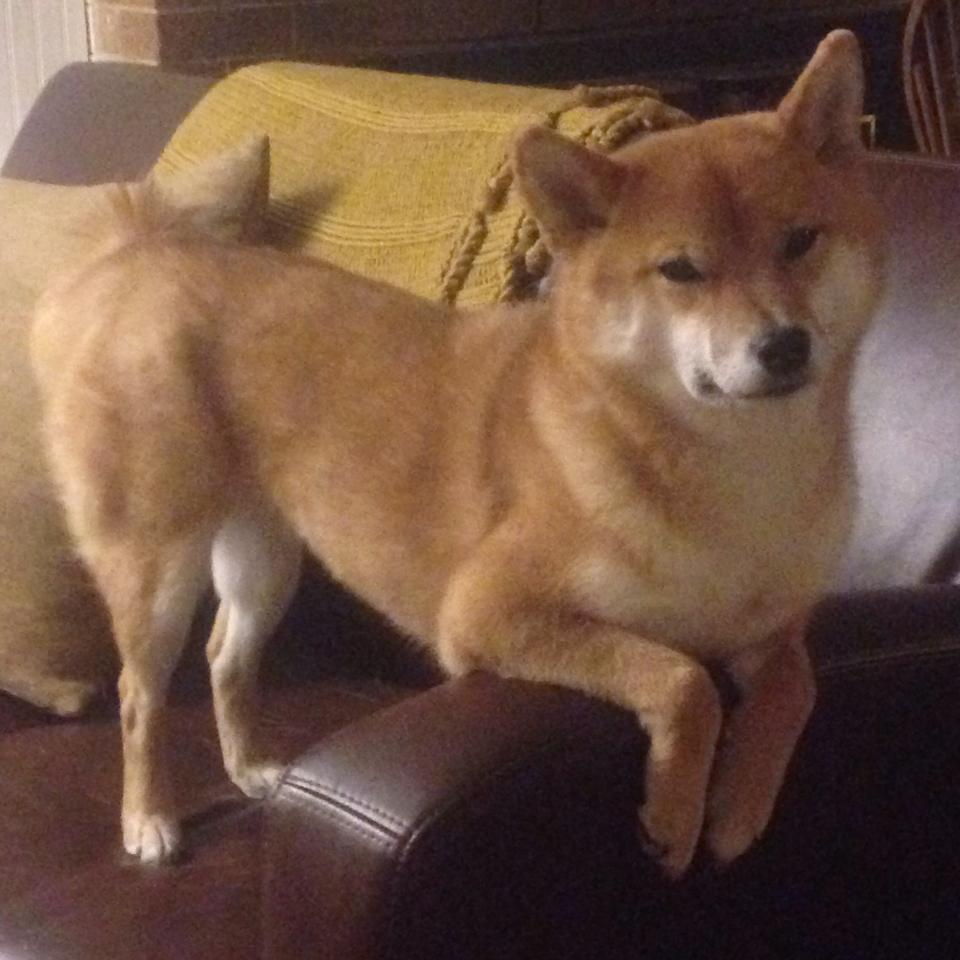 塞浦路斯战平克罗地亚,意外的平局或给小组赛增添不确定因素,塞浦路斯在亚洲的地理位置