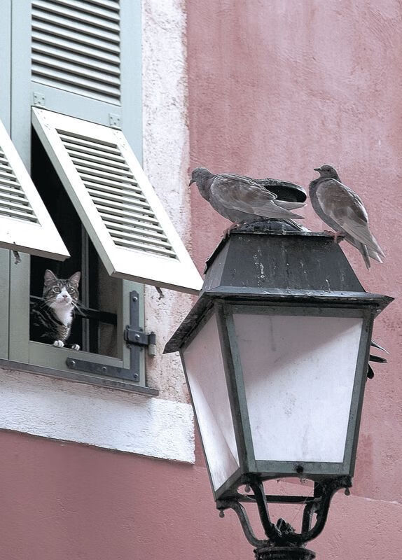 季后赛经验是否仍然至关重要,季后赛进度