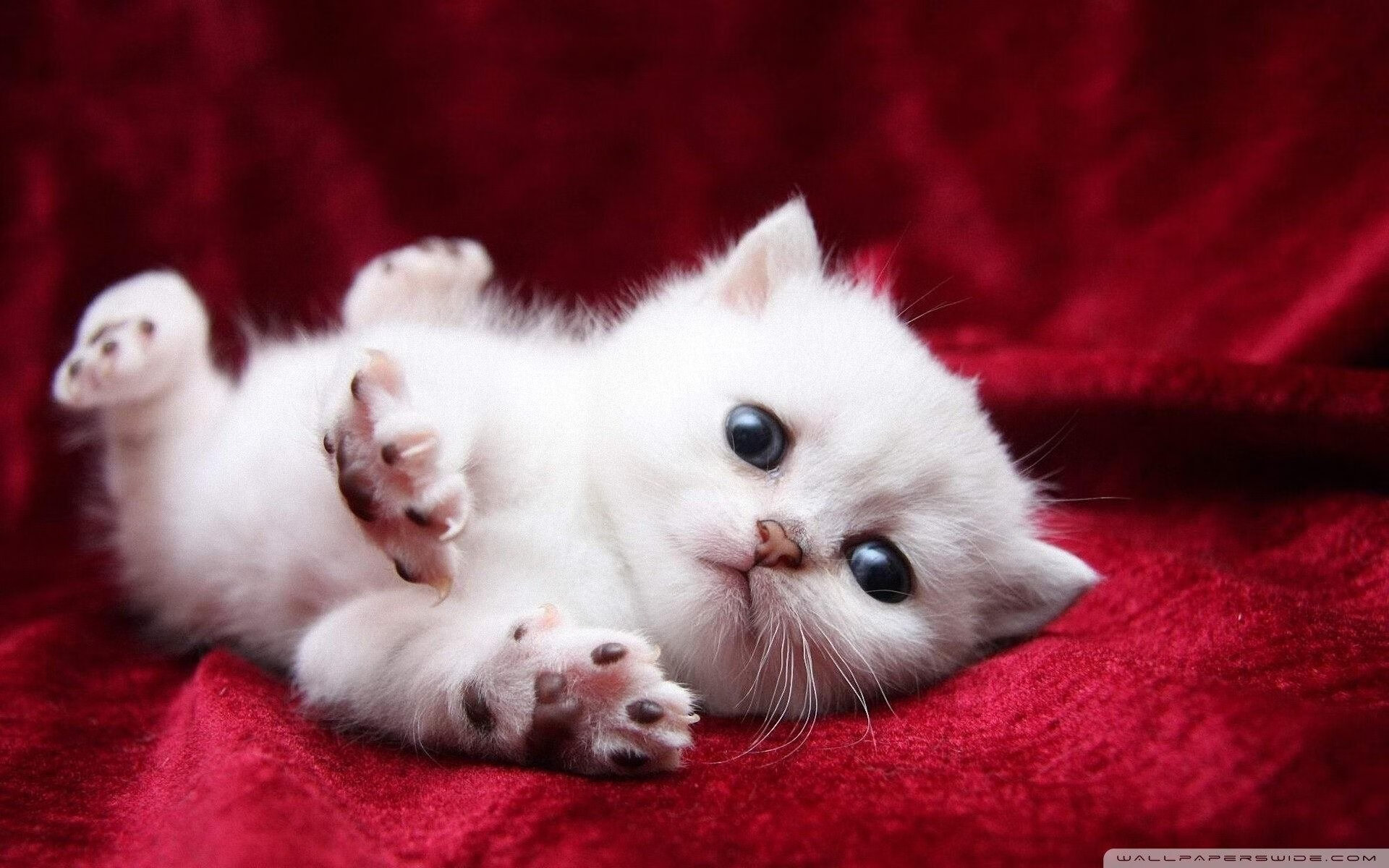 联盟是否应引入主客场平衡评分机制,英雄联盟主客场制介绍