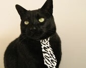 篮球运动员专项技能训练方法创新与应用,篮球专项技能展示