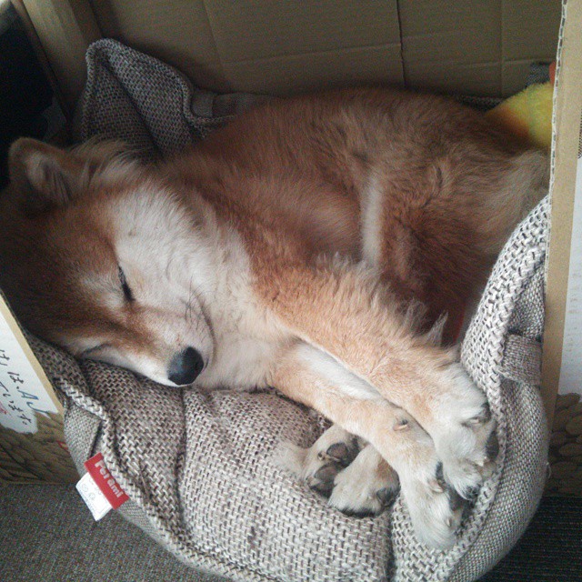 英超球队构建多维压力响应模型应对关键比赛