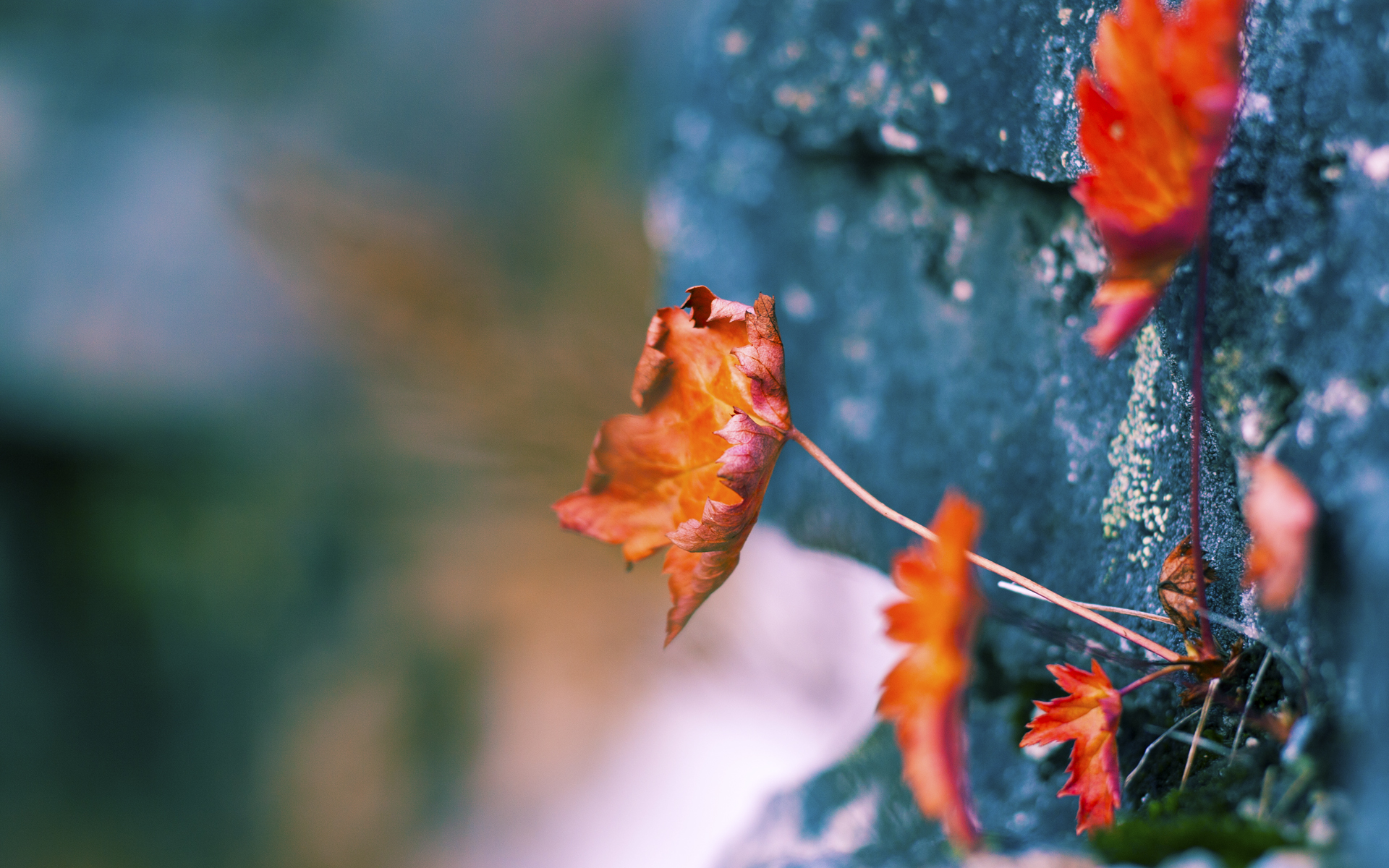 英超青训体系融入心理压力管理提升技术动作稳定性，英超训练足球