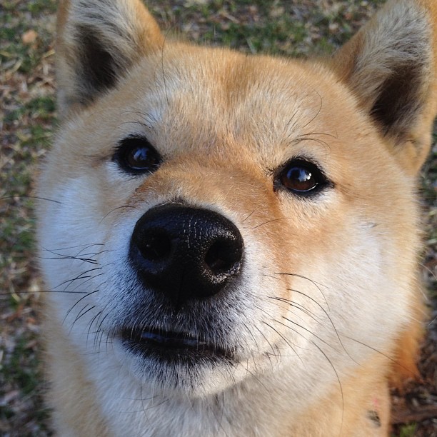 逆袭传奇:本赛季表现超出预期的球队分析,逆袭传说