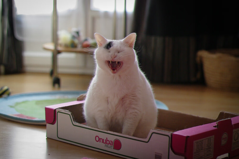 中国女篮加强对抗练习提升身体素质，中国女篮真棒