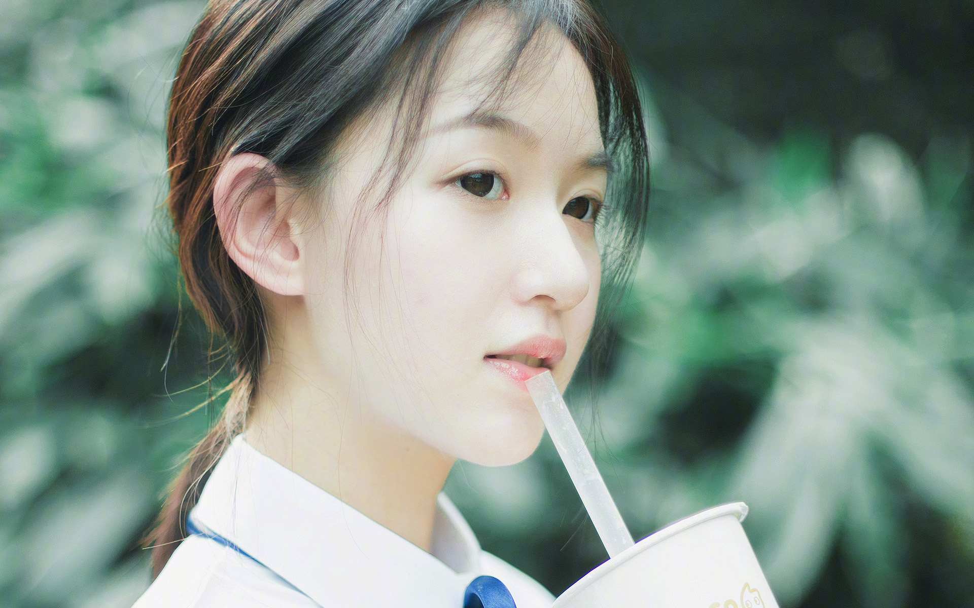 未来十年,澳大利亚队如何通过国际赛事提升竞争力,澳大利亚国家联赛