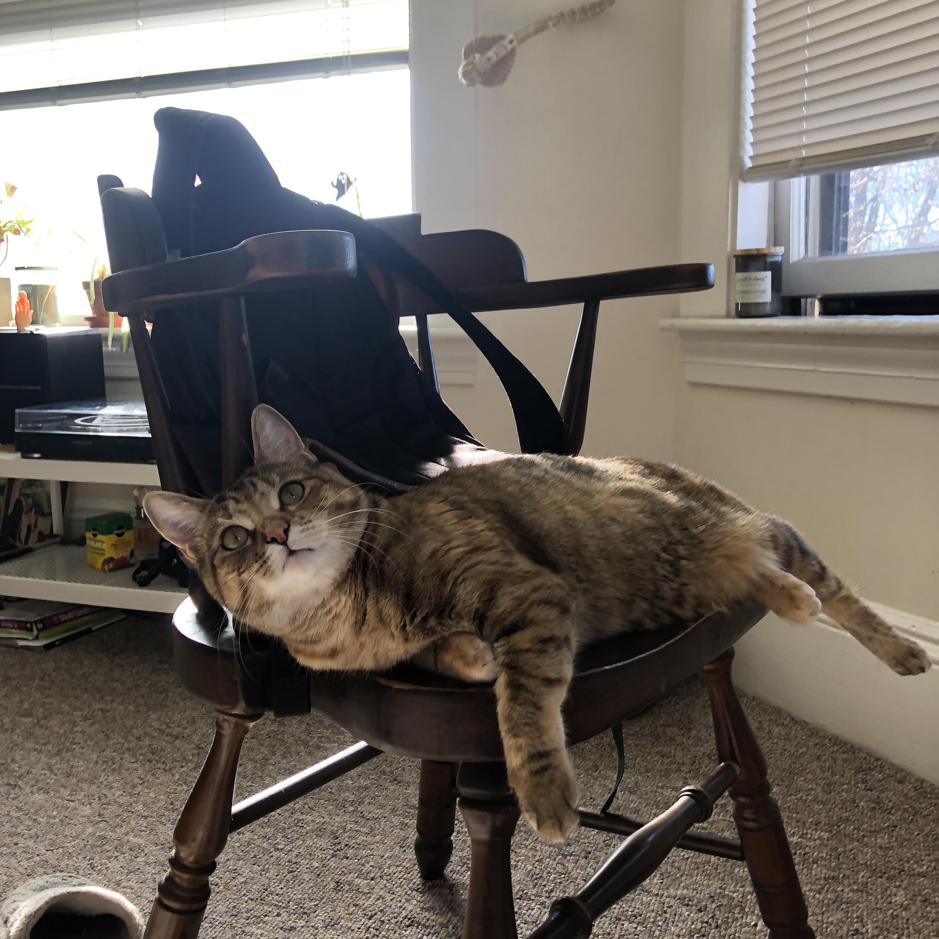 欧洲杯点球盛宴：心跳加速的战术较量，欧洲杯点球算不算输赢